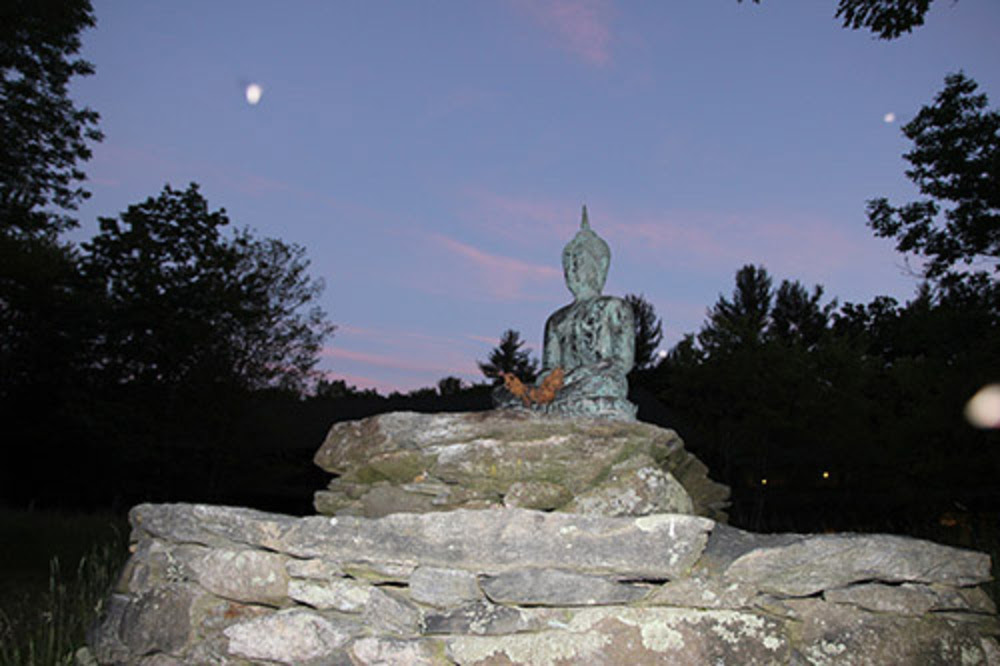 Forest Refuge Meadow Buddha