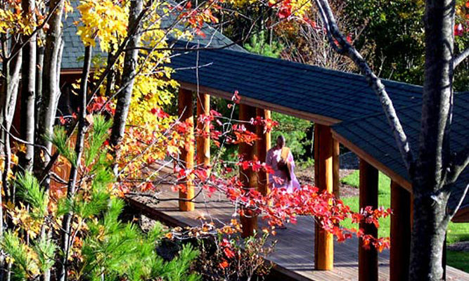 Under the guidance of experienced teachers, a Forest Refuge retreat can strengthen practice confidence.