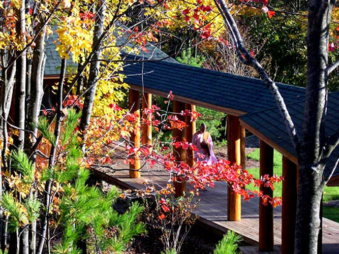 Under the guidance of experienced teachers, a Forest Refuge retreat can strengthen practice confidence.