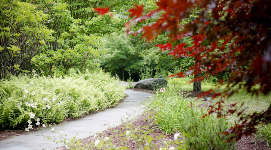 Virtual tours at IMS